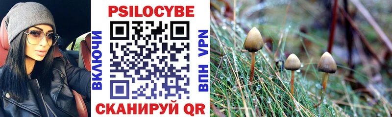 Галлюциногенные грибы Cubensis  Сибай 